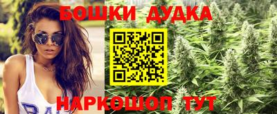 МДПВ Краснознаменск