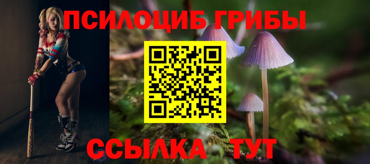 Дивногорск  Псилоцибиновые грибы Psilocybe  Псилоцибиновые грибы Psilocybine cubensis  Вход с VPN 