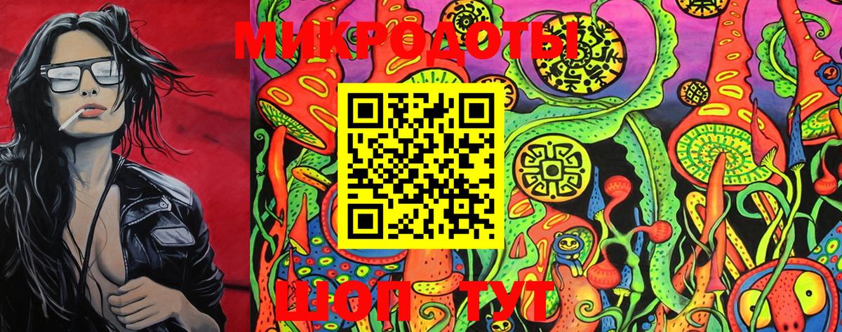 Псилоцибиновые грибы Cubensis Дивногорск