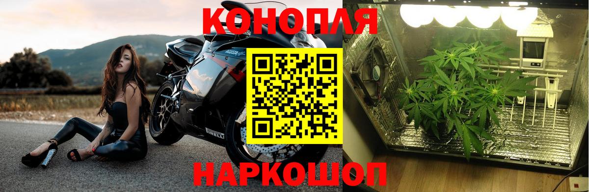 Дивногорск  Канабис THC 21%  Марихуана тримм  Вход с VPN  Шишки марихуана MAZAR 